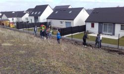 Plantations Cavalier   006